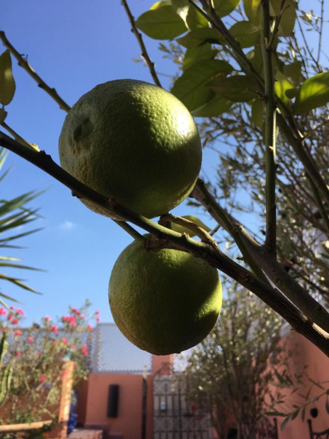 Riad Dar Kasal Marrakesh Eksteriør billede